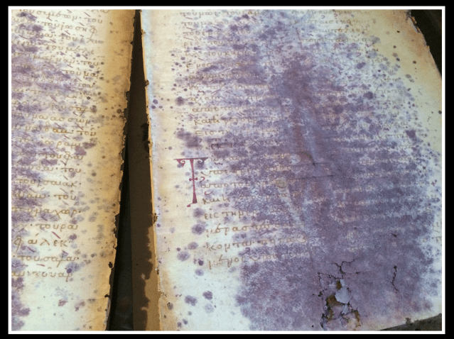 Daniel B Wallace Executive Director Of Csntm Senior Research